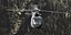 Eurocopter AS 350 N3