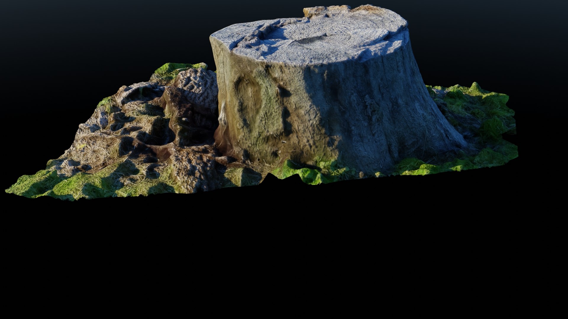 3D model Tree Stump 2 https://p.turbosquid.com/ts-thumb/i7/luLAqC/iS/r03/jpg/1664083448/1920x1080/fit_q87/6f21d7a26bb92ef0d1fa707e7dd58f096d6c25f5/r03.jpg