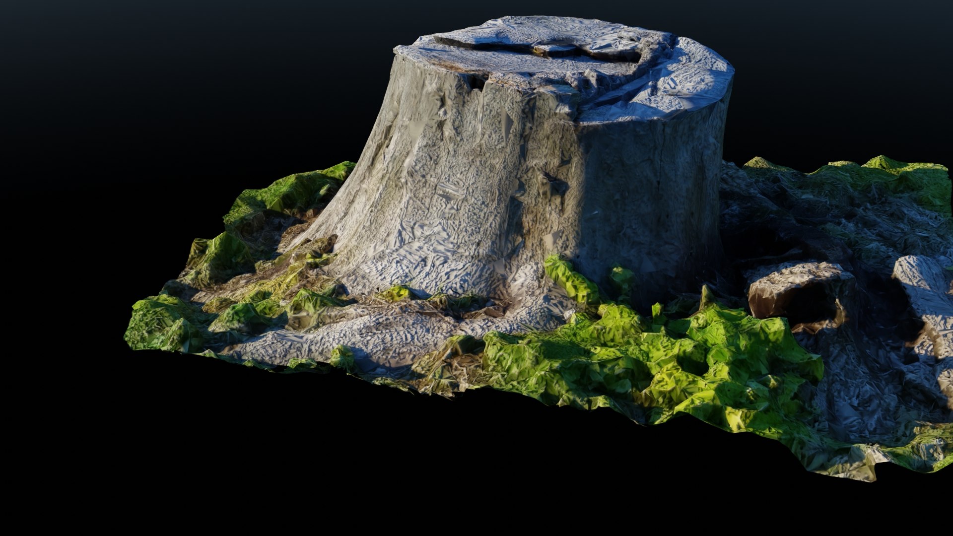 3D model Tree Stump 2 https://p.turbosquid.com/ts-thumb/i7/luLAqC/sK/r05/jpg/1664083450/1920x1080/fit_q87/fc0bbe01e6d8c5ab8e8d610beb9bf1e4da555ca1/r05.jpg
