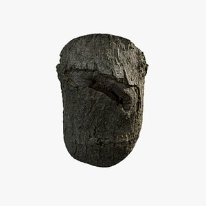 Anydrafts Acer tataricum Burl 04 3D