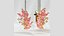 Boucles d'Oreilles Saphir Marquises Or
