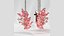 Boucles d'Oreilles Saphir Marquises Or
