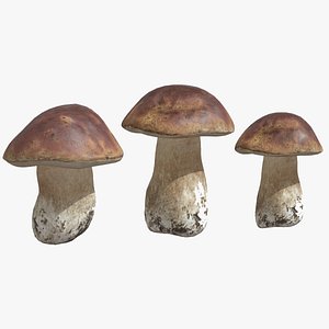 Boletus Edulis  Porcini  Mushroom Low Poly 3D model