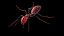 Ant lowpoly 모델