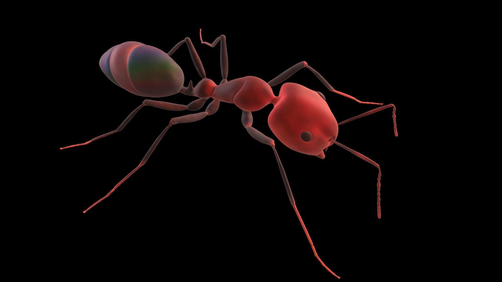 3D Ant lowpoly model https://p.turbosquid.com/ts-thumb/i8/CVUqGW/9Q/3dlowpolymodelofanantreadytouse3dmodellowpolyobjfbxmastlztlgltf3/jpg/1615963336/1920x1080/fit_q87/bfe12dccfa31e6e21a8324f7377588f5f42cb2af/3dlowpolymodelofanantreadytouse3dmodellowpolyobjfbxmastlztlgltf3.jpg