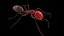 Ant lowpoly 모델