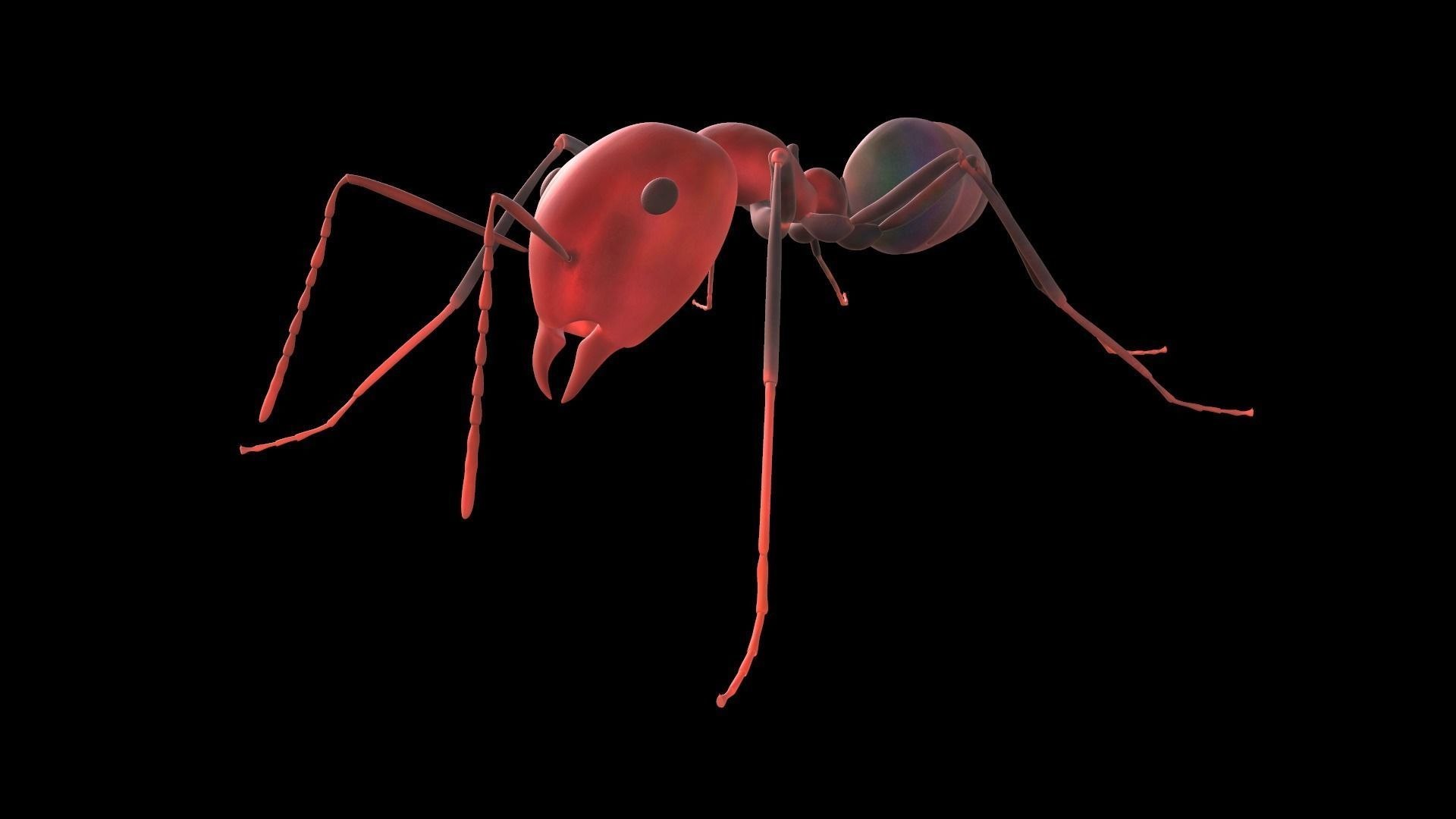 3D Ant lowpoly model https://p.turbosquid.com/ts-thumb/i8/CVUqGW/Mw/3dlowpolymodelofanantreadytouse3dmodellowpolyobjfbxmastlztlgltf7/jpg/1615963336/1920x1080/fit_q87/f54d15270db9e754c2d31014ae7c059a7201afeb/3dlowpolymodelofanantreadytouse3dmodellowpolyobjfbxmastlztlgltf7.jpg