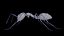 Ant lowpoly 모델