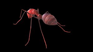 Ant lowpoly model