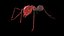 Ant lowpoly 모델