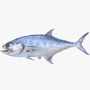 Talang Queenfish