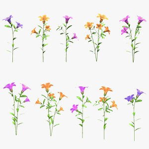 3D Azalea Flower Low Poly