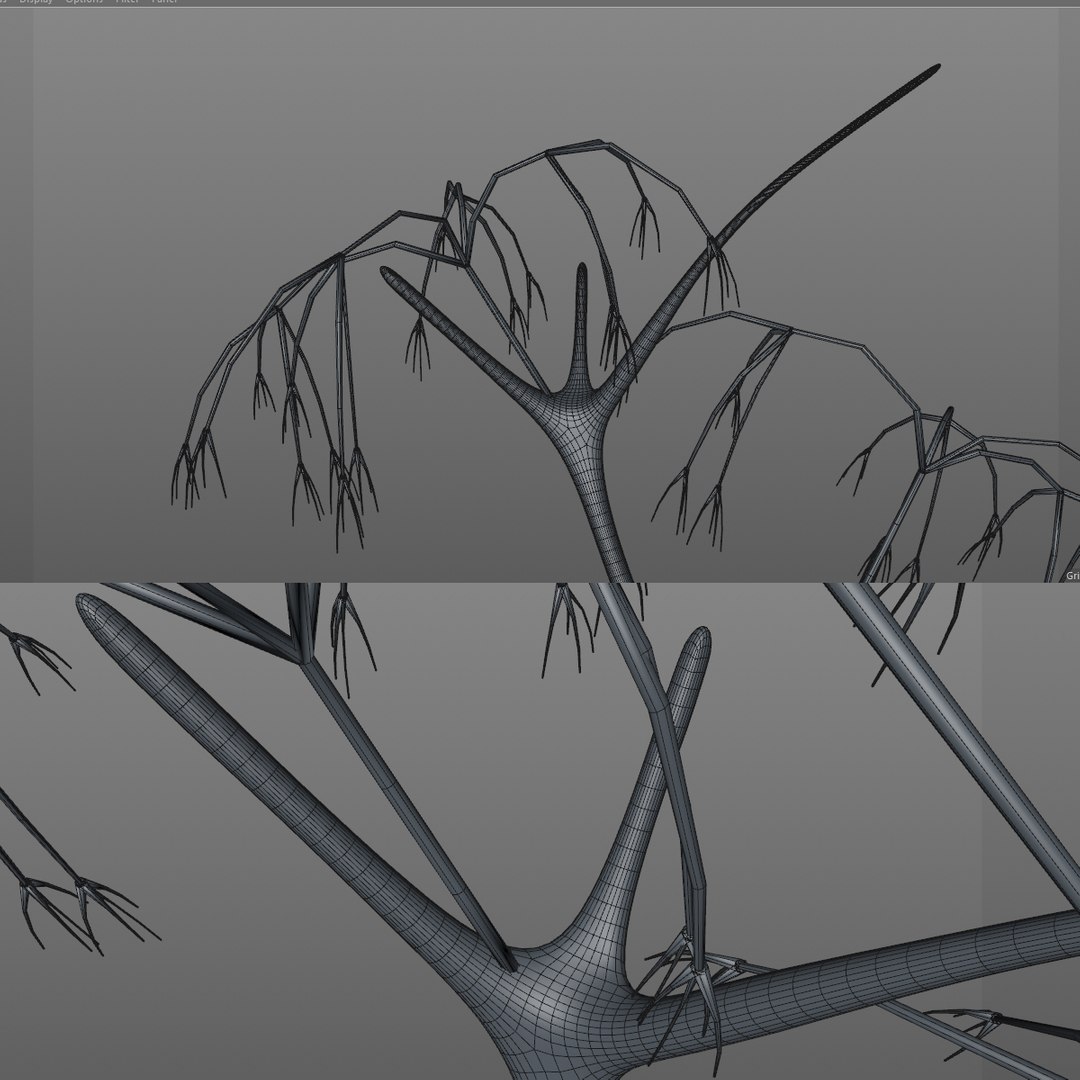3D neuron https://p.turbosquid.com/ts-thumb/i8/OOVVRi/qZ0QEH8c/3/jpg/1516966805/1920x1080/fit_q87/455516b457b9f20fd4e2e5a267dc243b8ba537c5/3.jpg
