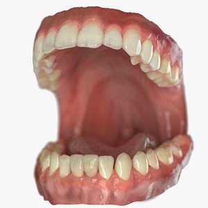 3D model Dentures D