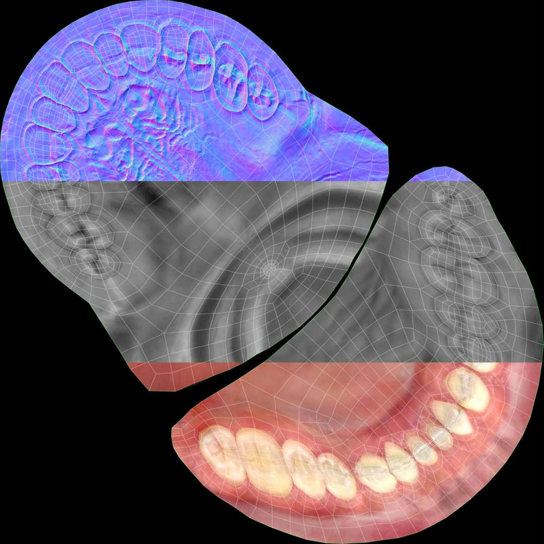 3D model Dentures D https://p.turbosquid.com/ts-thumb/i8/PwG9ZE/rW/uv/jpg/1634601638/1920x1080/fit_q87/c6108168fd3692c31db0deccc95bcda48b766628/uv.jpg