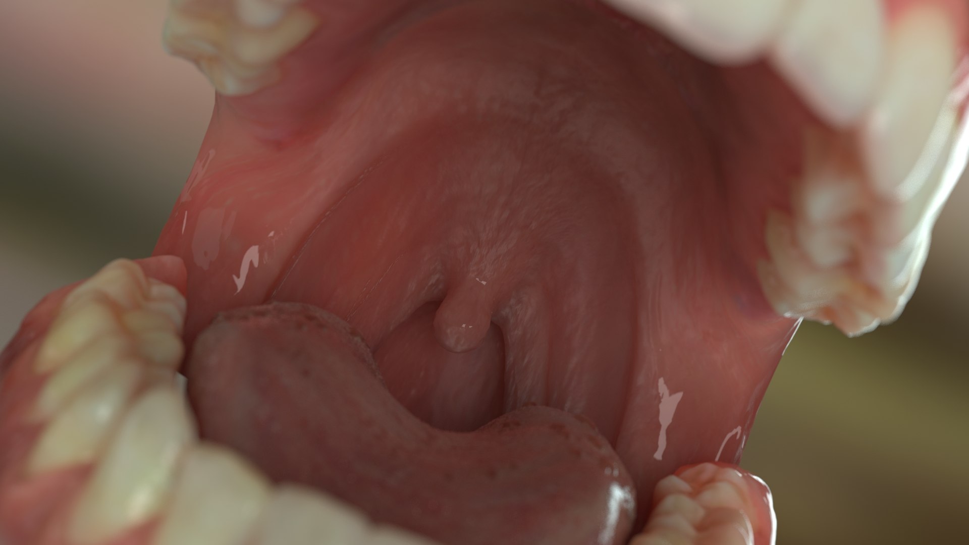 3D model Dentures D https://p.turbosquid.com/ts-thumb/i8/PwG9ZE/t8/02/jpg/1634601641/1920x1080/fit_q87/16584cbbc81fa0fdcb66414c7e464af788a67b2b/02.jpg