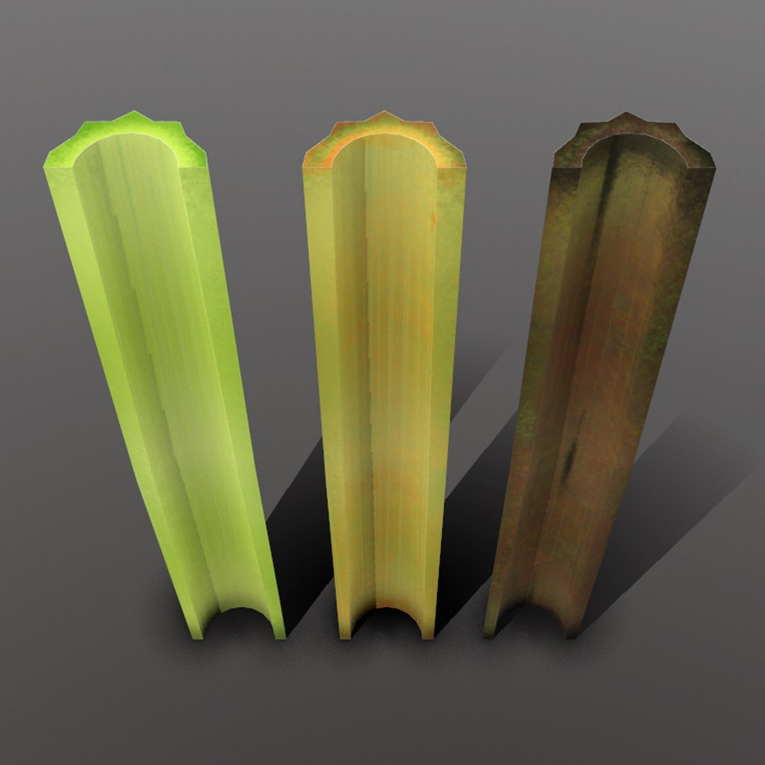 celery ready games 3D https://p.turbosquid.com/ts-thumb/i8/X7pfWL/rYtxqsfS/3_celery/png/1527094394/1920x1080/fit_q87/f28afd62f3e5dd303a82cb01367c63b0c2b871c8/3_celery.jpg