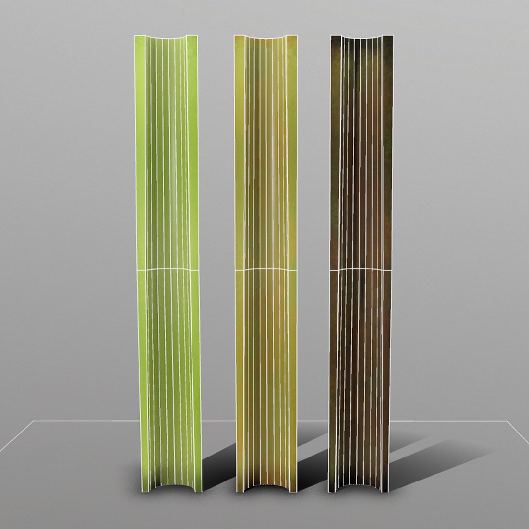 celery ready games 3D https://p.turbosquid.com/ts-thumb/i8/X7pfWL/tpLPslkD/5_celery/png/1527094385/1920x1080/fit_q87/9ec109aea47158370e27fa04877c3c82f47b72d0/5_celery.jpg
