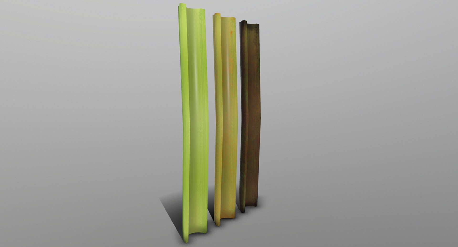 celery ready games 3D https://p.turbosquid.com/ts-thumb/i8/X7pfWL/wcfenMfc/rrecovered/png/1527094341/1920x1080/fit_q87/e64e662daffd95db0055a402e034ee2c74b7a13a/rrecovered.jpg