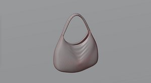 Bag 12 model
