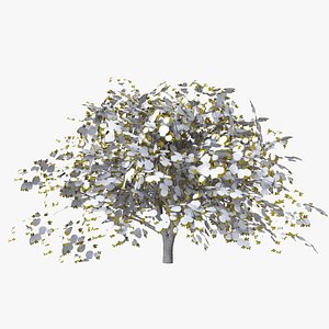 fig winter low poly