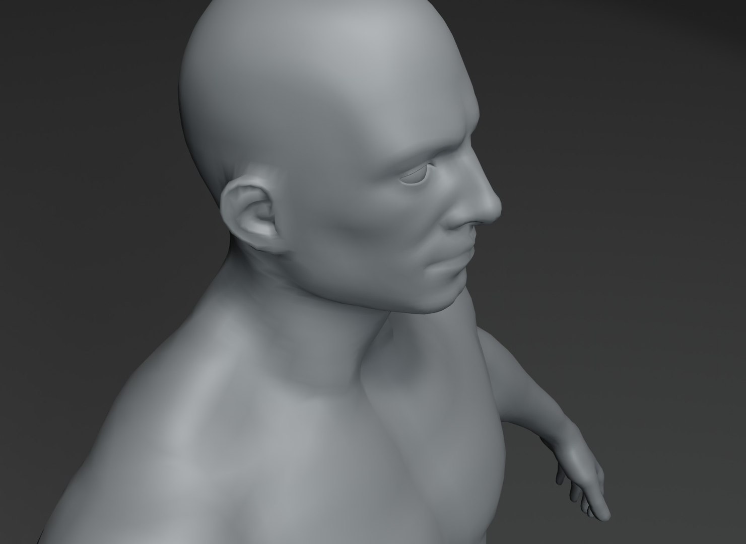 Body Base Mesh 20k 3D Model - TurboSquid 1691224