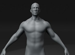 Male Body Base Mesh 20k Polygons