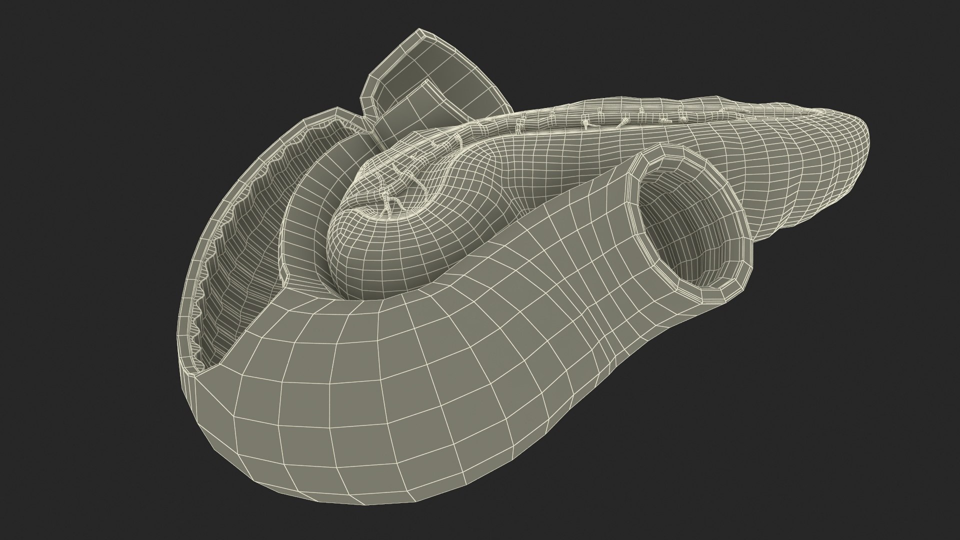 3D Plastic Model of Pancreas Cut https://p.turbosquid.com/ts-thumb/i8/qSyFt2/6F/plasticmodelofpancreascut3dmodel030/jpg/1720516188/1920x1080/fit_q87/3668405e63106dbefdeb9373f8f3ef951beaeee9/plasticmodelofpancreascut3dmodel030.jpg