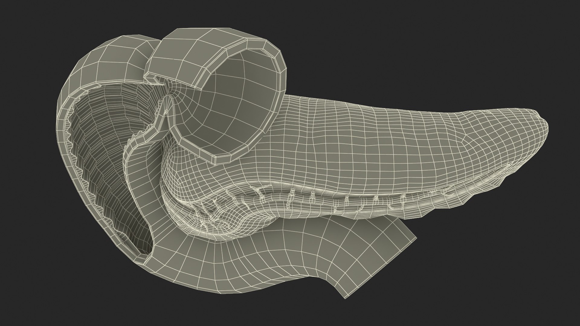 3D Plastic Model of Pancreas Cut https://p.turbosquid.com/ts-thumb/i8/qSyFt2/GL/plasticmodelofpancreascut3dmodel028/jpg/1720516180/1920x1080/fit_q87/ab4647cb5cf71ac94a3a553d41514d2736f1dcf1/plasticmodelofpancreascut3dmodel028.jpg