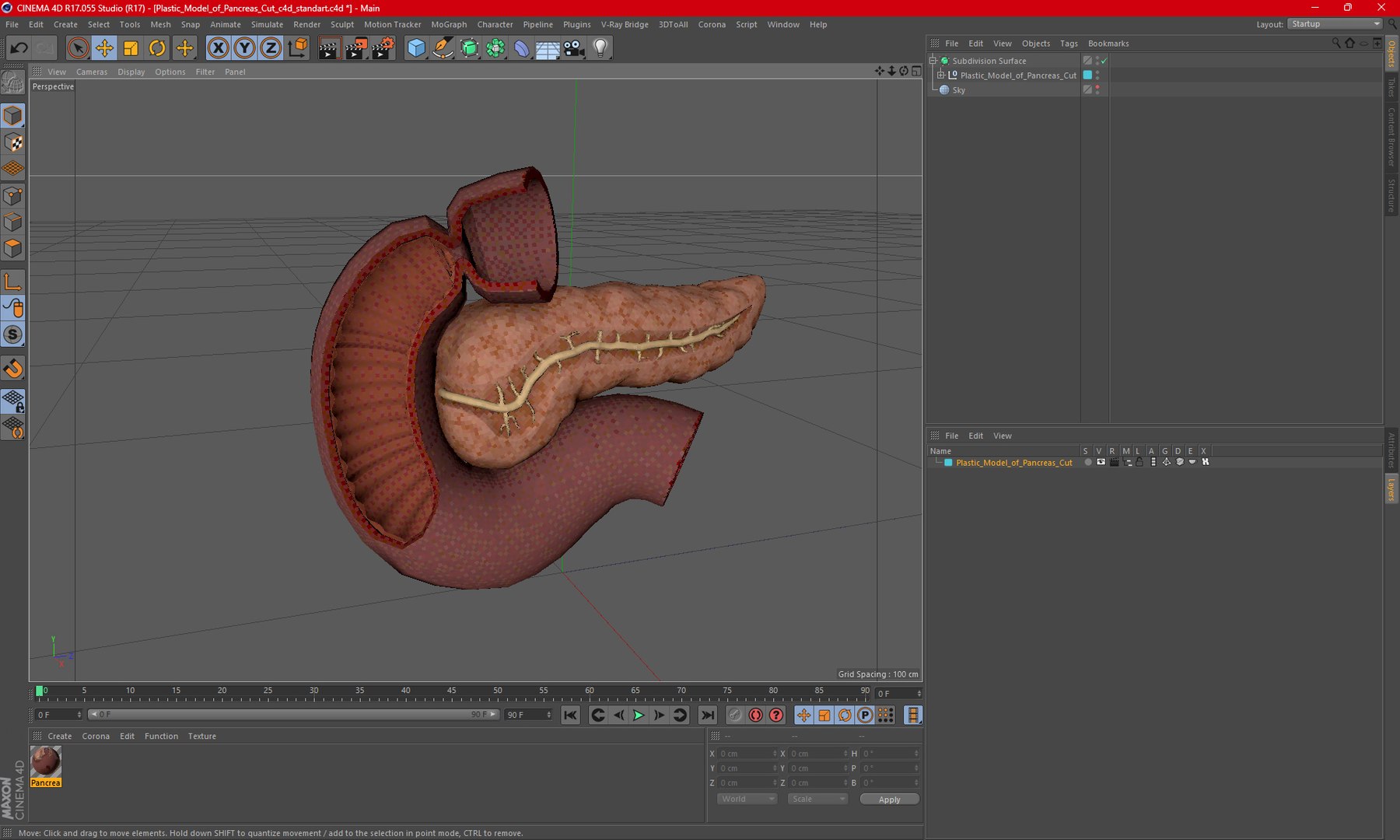 3D Plastic Model of Pancreas Cut https://p.turbosquid.com/ts-thumb/i8/qSyFt2/KS/plasticmodelofpancreascut3dmodel023/jpg/1720516160/1920x1080/fit_q87/eac96e3ee9079b6261c1c6b750c689856bccac4b/plasticmodelofpancreascut3dmodel023.jpg