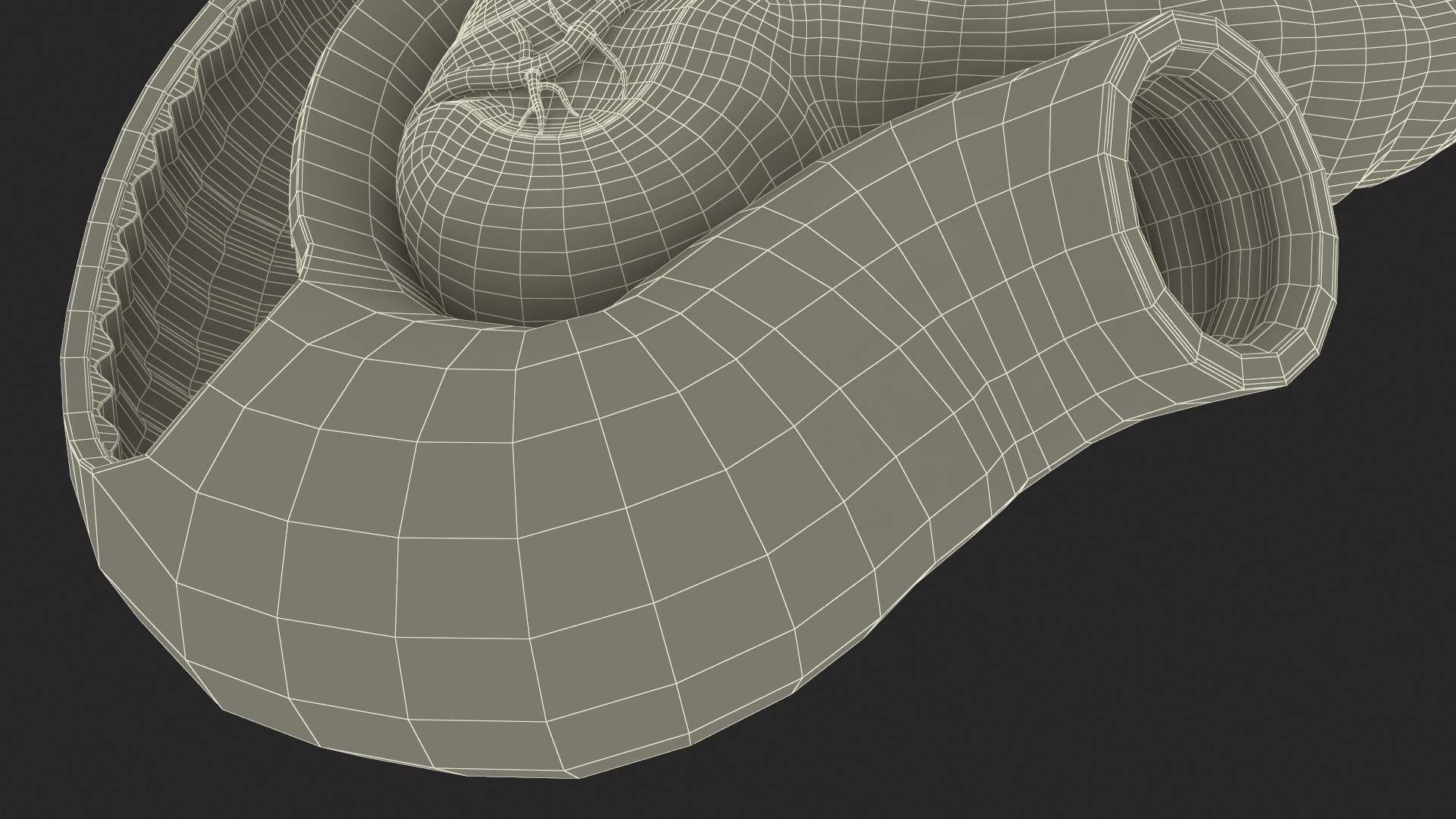 3D Plastic Model of Pancreas Cut https://p.turbosquid.com/ts-thumb/i8/qSyFt2/Sm/plasticmodelofpancreascut3dmodel032/jpg/1720516195/1920x1080/fit_q87/892c8694356f65d28d29bf65d9877011dcad9ad4/plasticmodelofpancreascut3dmodel032.jpg