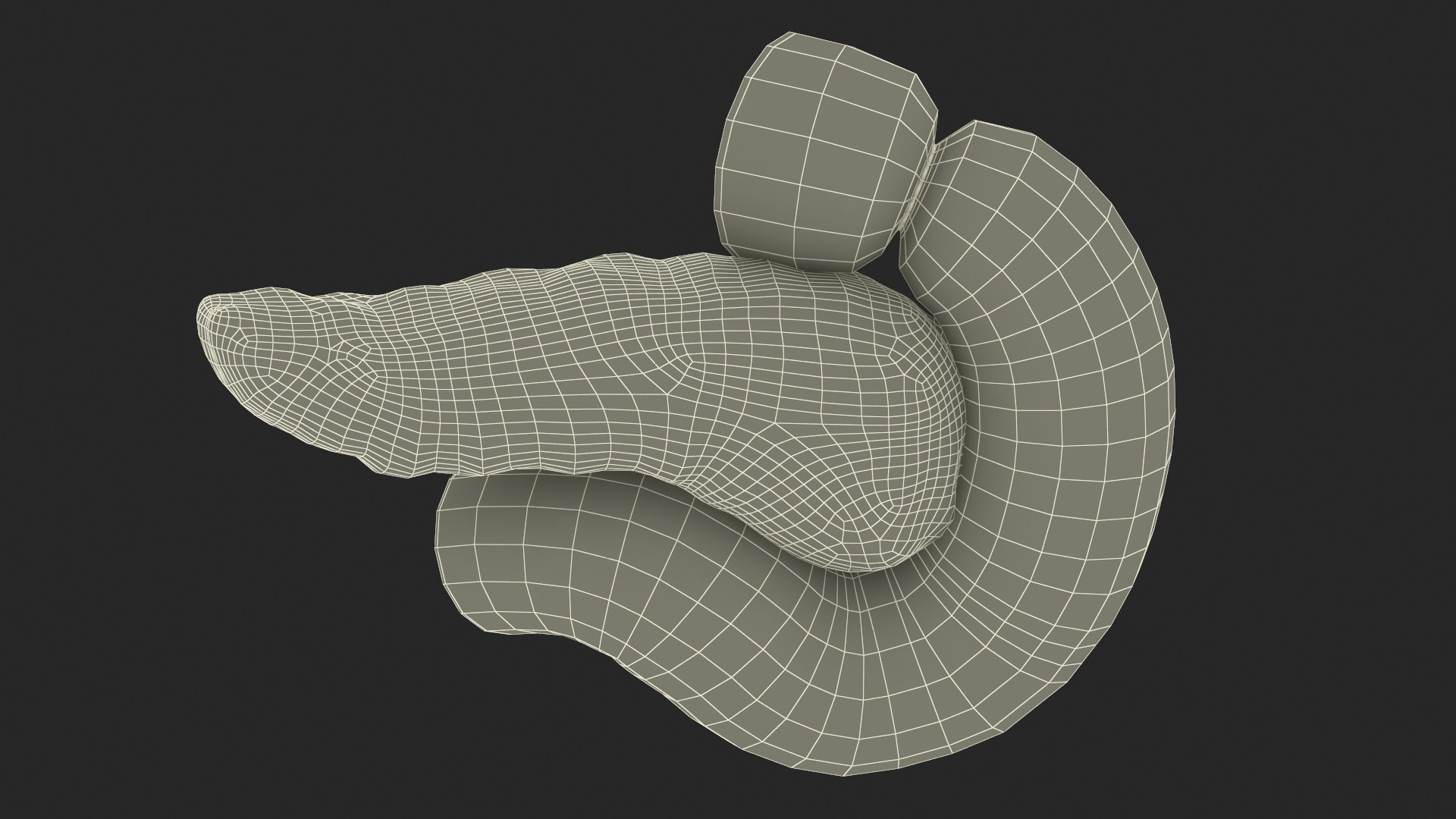3D Plastic Model of Pancreas Cut https://p.turbosquid.com/ts-thumb/i8/qSyFt2/Wh/plasticmodelofpancreascut3dmodel029/jpg/1720516184/1920x1080/fit_q87/860a8f5c4d1783fc3f9f901cb325e98814d124ff/plasticmodelofpancreascut3dmodel029.jpg