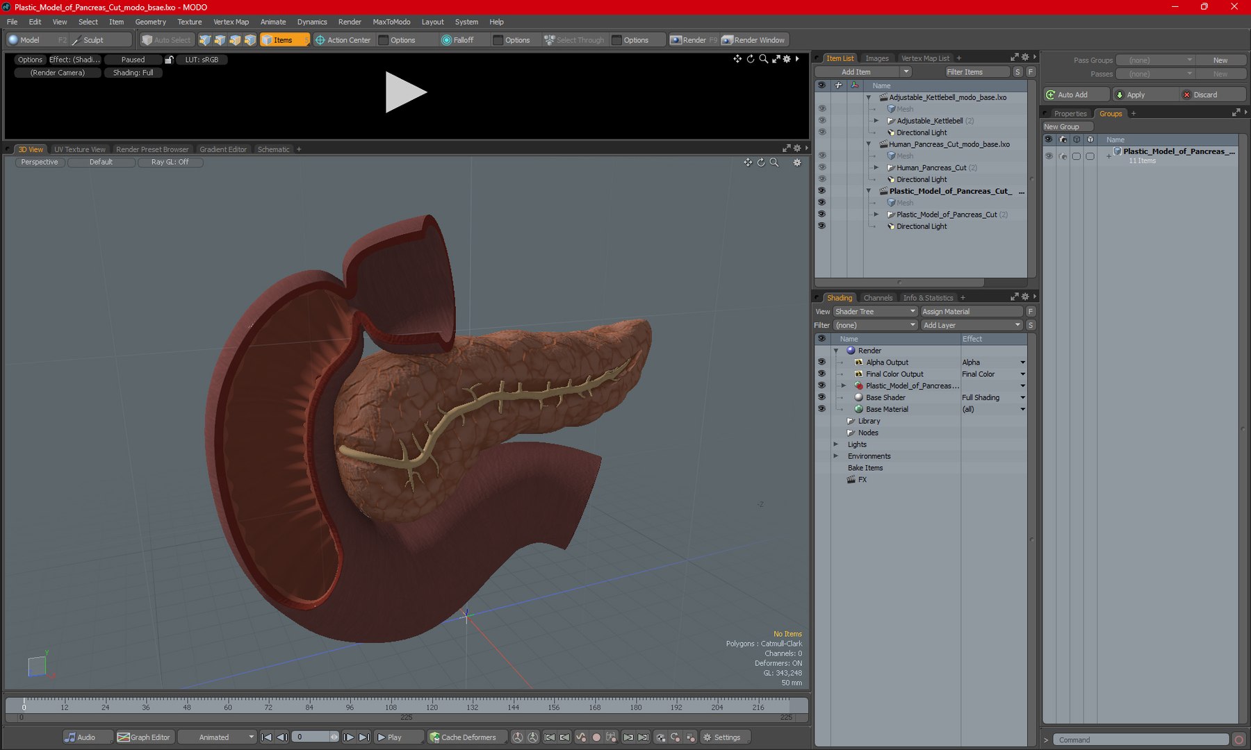 3D Plastic Model of Pancreas Cut https://p.turbosquid.com/ts-thumb/i8/qSyFt2/bI/plasticmodelofpancreascut3dmodel026/jpg/1720516172/1920x1080/fit_q87/3d59bcb153b8a932e6d3de2fd12da75888179019/plasticmodelofpancreascut3dmodel026.jpg