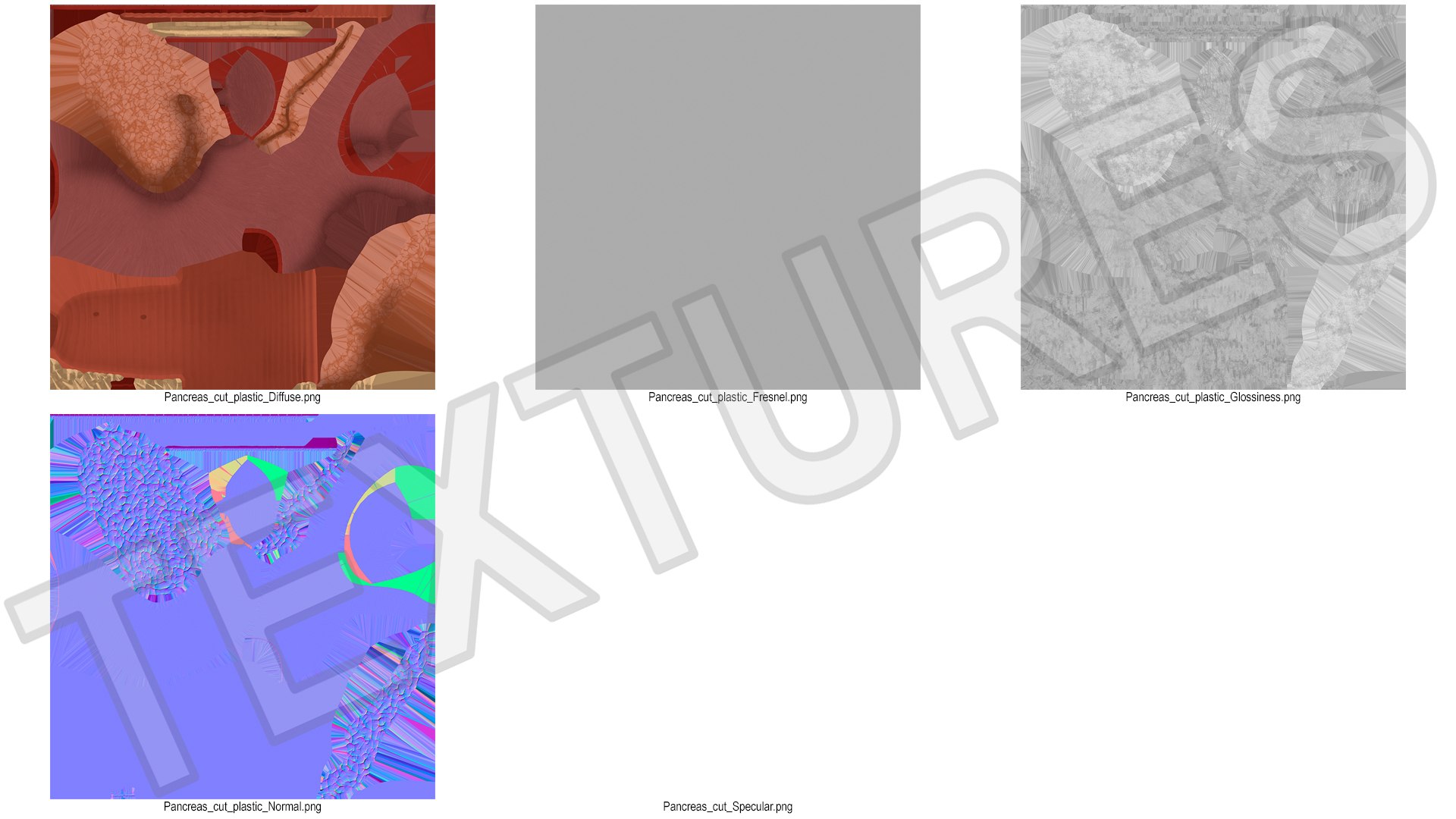 3D Plastic Model of Pancreas Cut https://p.turbosquid.com/ts-thumb/i8/qSyFt2/lr/plasticmodelofpancreascut3dmodel021/jpg/1720516152/1920x1080/fit_q87/101aed3fae982114ad6fc01bc26e6f61b28977fa/plasticmodelofpancreascut3dmodel021.jpg
