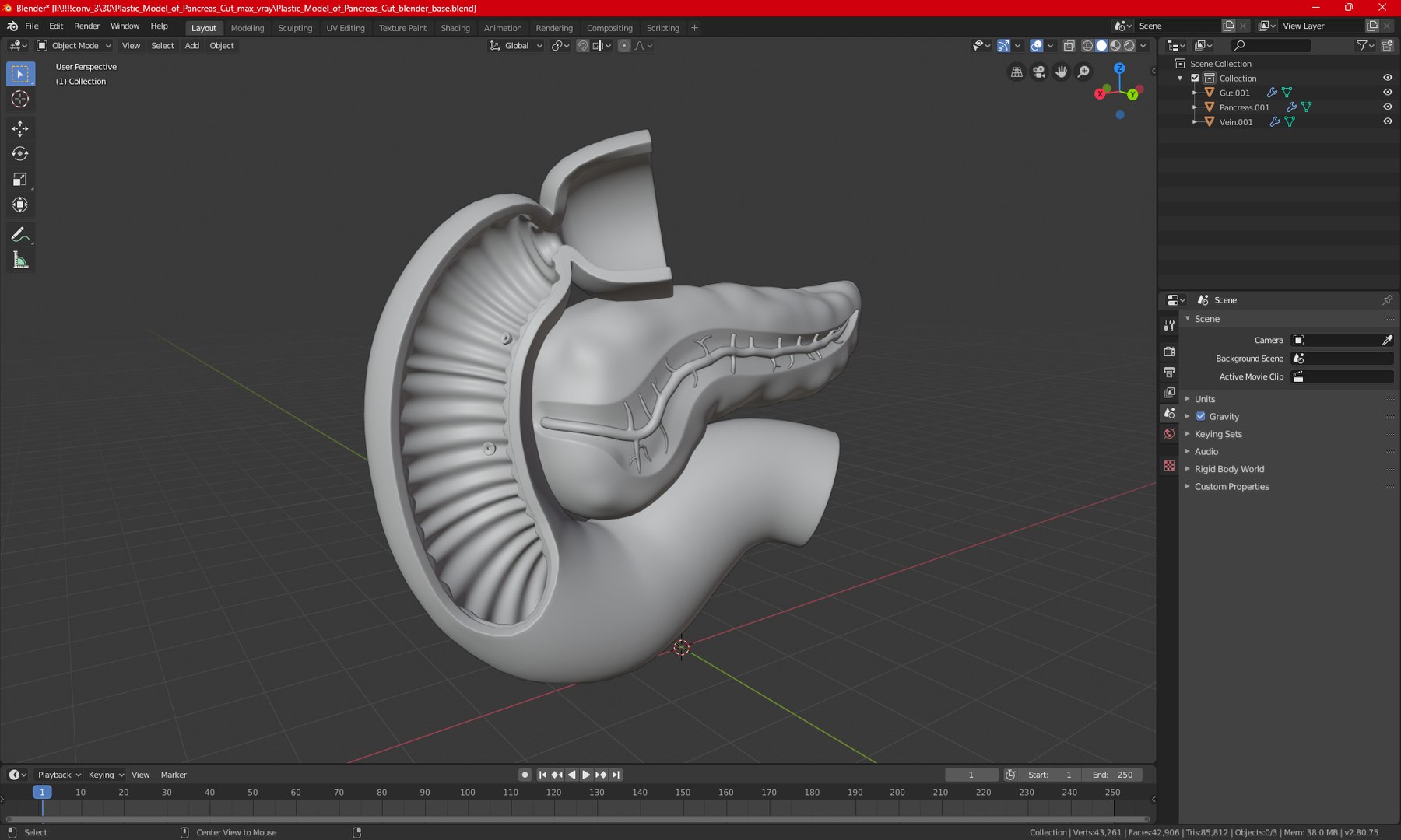 3D Plastic Model of Pancreas Cut https://p.turbosquid.com/ts-thumb/i8/qSyFt2/xY/plasticmodelofpancreascut3dmodel025/jpg/1720516167/1920x1080/fit_q87/ca3e512f8f39f04adbf3b4e643c20edc8bb39931/plasticmodelofpancreascut3dmodel025.jpg