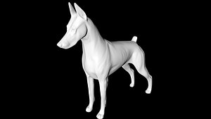 Doberman