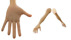 cartoon hands