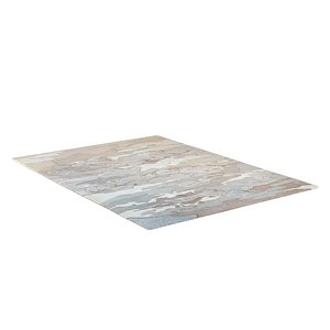 SALTWATER NEUTRAL Rug 3D model