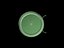 flashlight for automat
