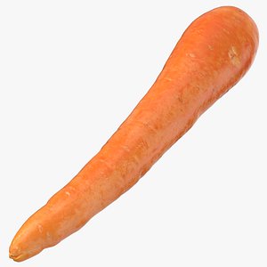 Carrot 04