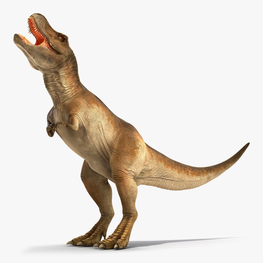 Animated Tyrannosaurus Rex Eating Rigged for Cinema 4D 3D model preview