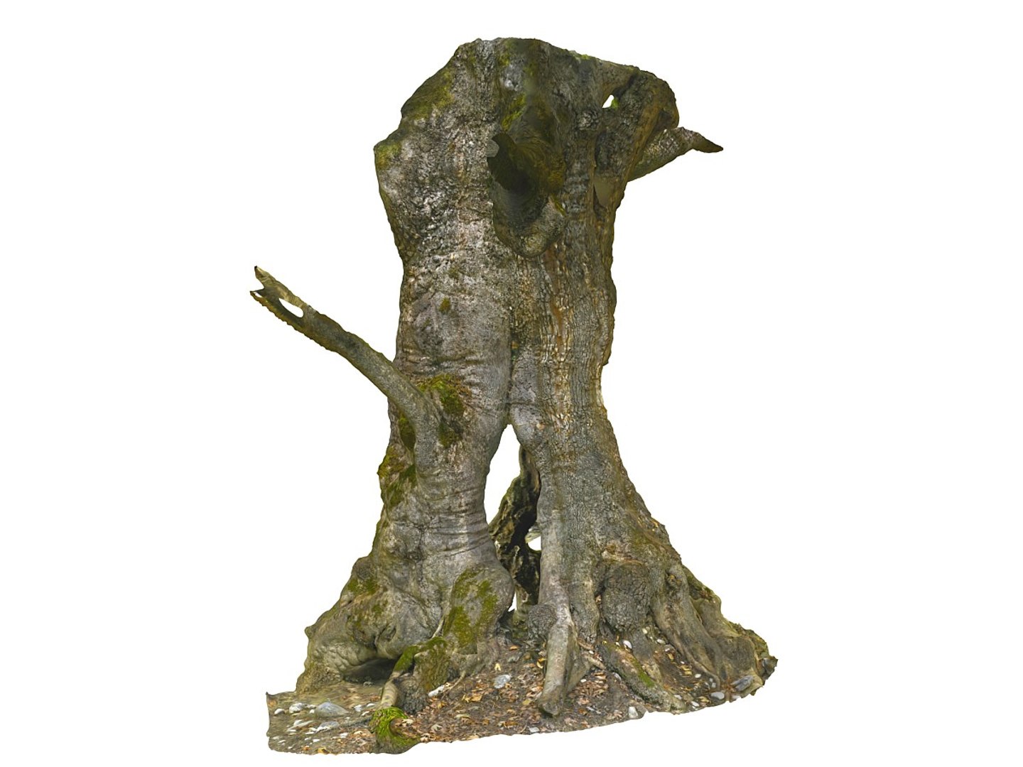 3D ancient forest pack 16k https://p.turbosquid.com/ts-thumb/i9/CUq0cZ/0h7pdW8f/55556/jpg/1537265204/1920x1080/fit_q87/46fed5d6035777facd1f4aad8ab88991d5b7c92b/55556.jpg