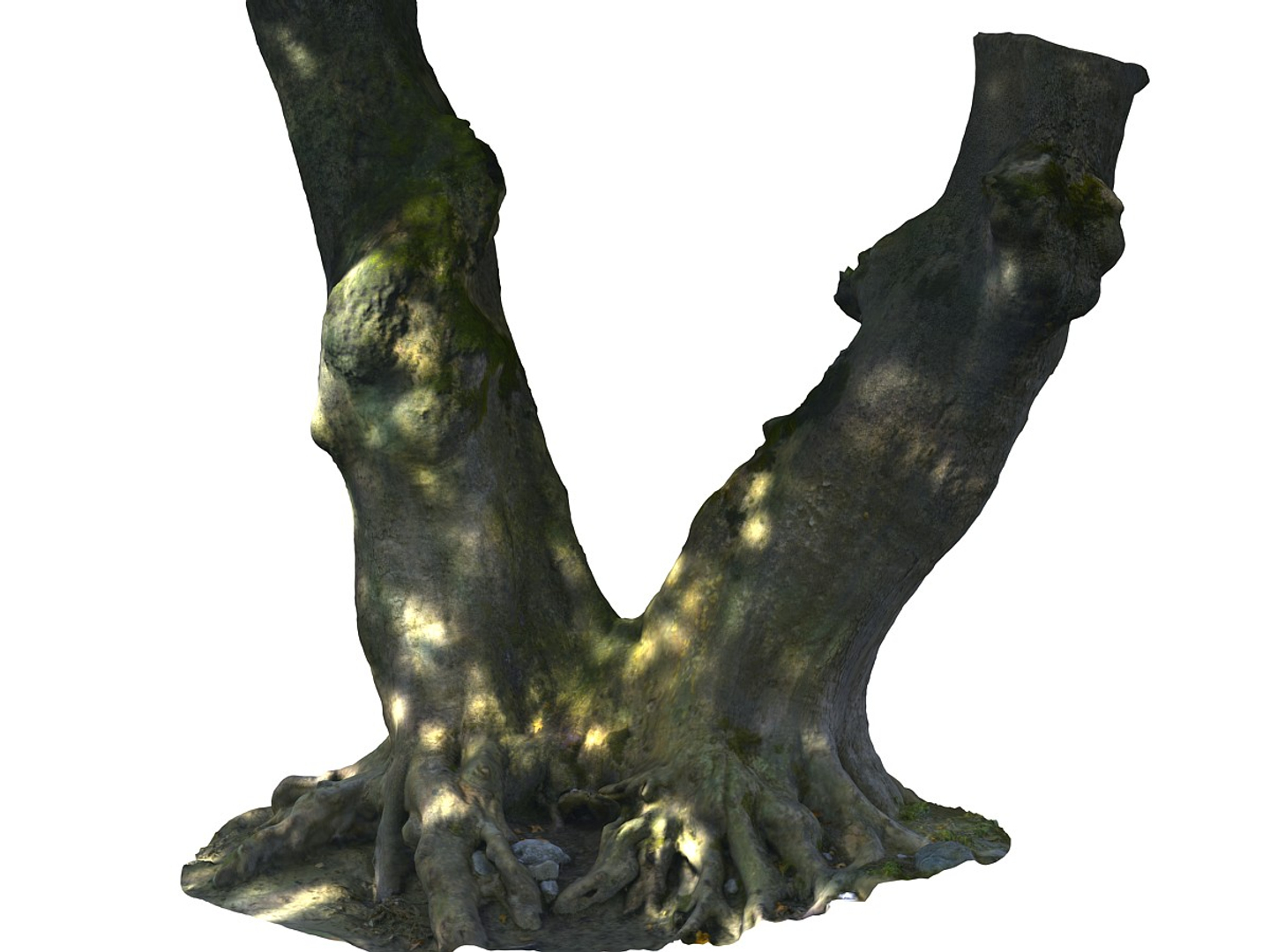 3D ancient forest pack 16k https://p.turbosquid.com/ts-thumb/i9/CUq0cZ/50KjHJ4O/0000/jpg/1537265501/1920x1080/turn_fit_q99/c1ee9a3013102f9341ca97513a437c2a20411480/0000-1.jpg