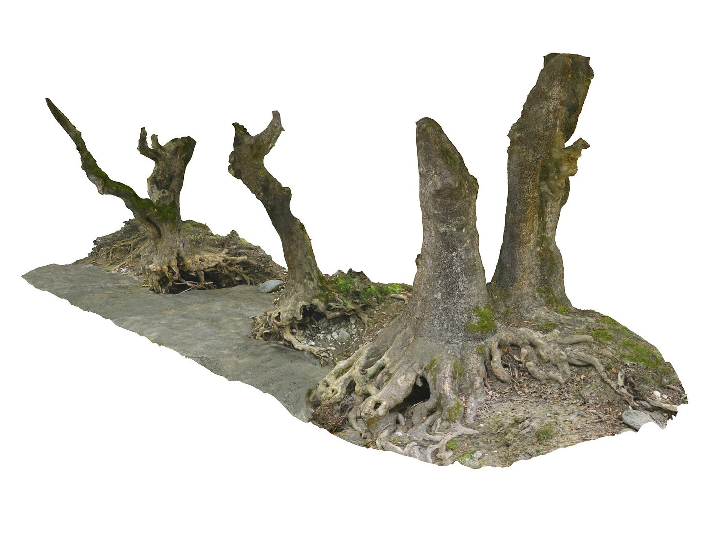3D ancient forest pack 16k https://p.turbosquid.com/ts-thumb/i9/CUq0cZ/5OHXbZ6l/8978900/jpg/1537185312/1920x1080/fit_q87/195e688e2ef5aa973757d8599073ad3d2df4634a/8978900.jpg