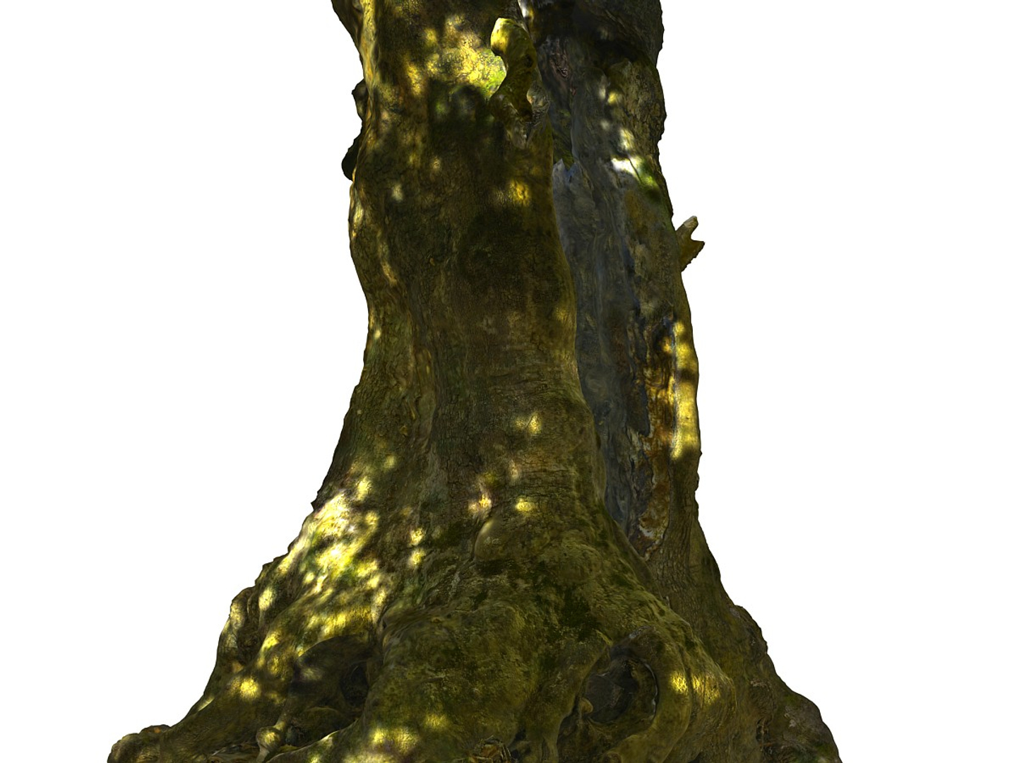 3D ancient forest pack 16k https://p.turbosquid.com/ts-thumb/i9/CUq0cZ/G0xTrEQx/0000/jpg/1537265946/1920x1080/turn_fit_q99/1d29bfc3ea4563b99e73af6117dc766a51933746/0000-1.jpg