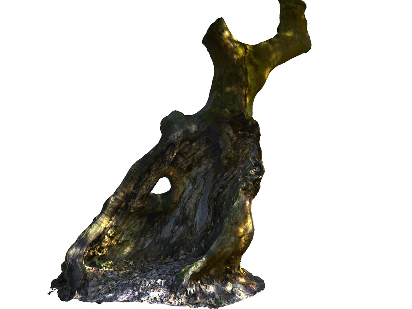 3D ancient forest pack 16k https://p.turbosquid.com/ts-thumb/i9/CUq0cZ/HeYu7GD8/0000/jpg/1537265292/1920x1080/turn_fit_q99/e8d8c5fc50763d0df2540d58443edb954010c18e/0000-1.jpg