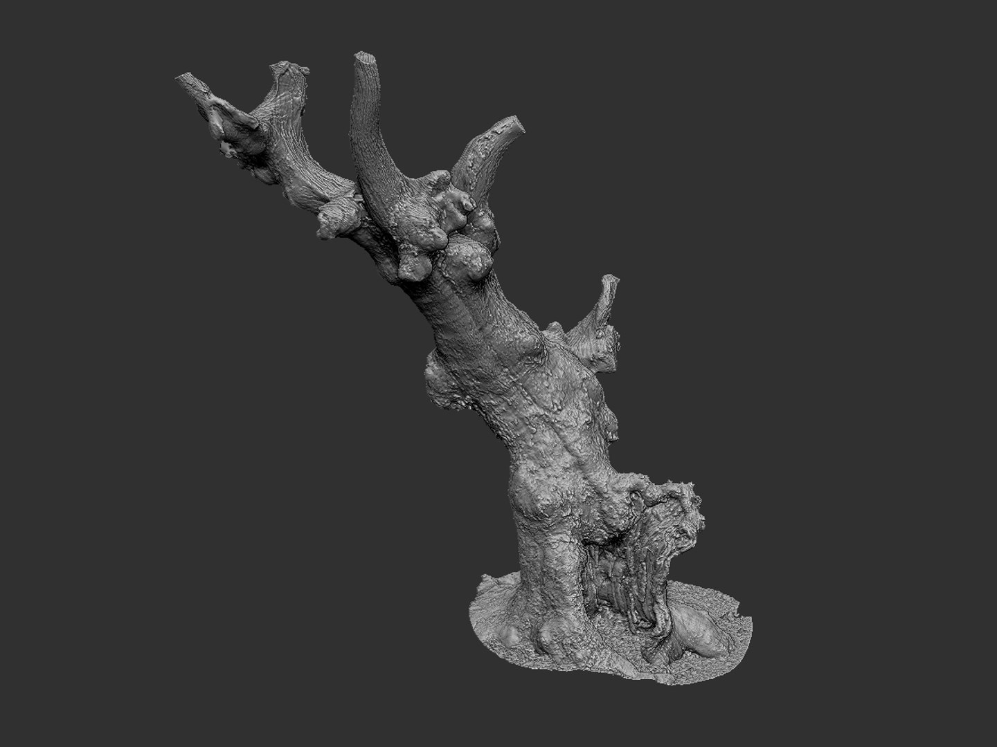 3D ancient forest pack 16k https://p.turbosquid.com/ts-thumb/i9/CUq0cZ/IR7nAKjw/67567/jpg/1537265253/1920x1080/fit_q87/34891d042c28bf66b0ecf5193f0e9b04a58afbce/67567.jpg