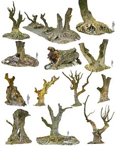 Ancient Forest Pack 16K