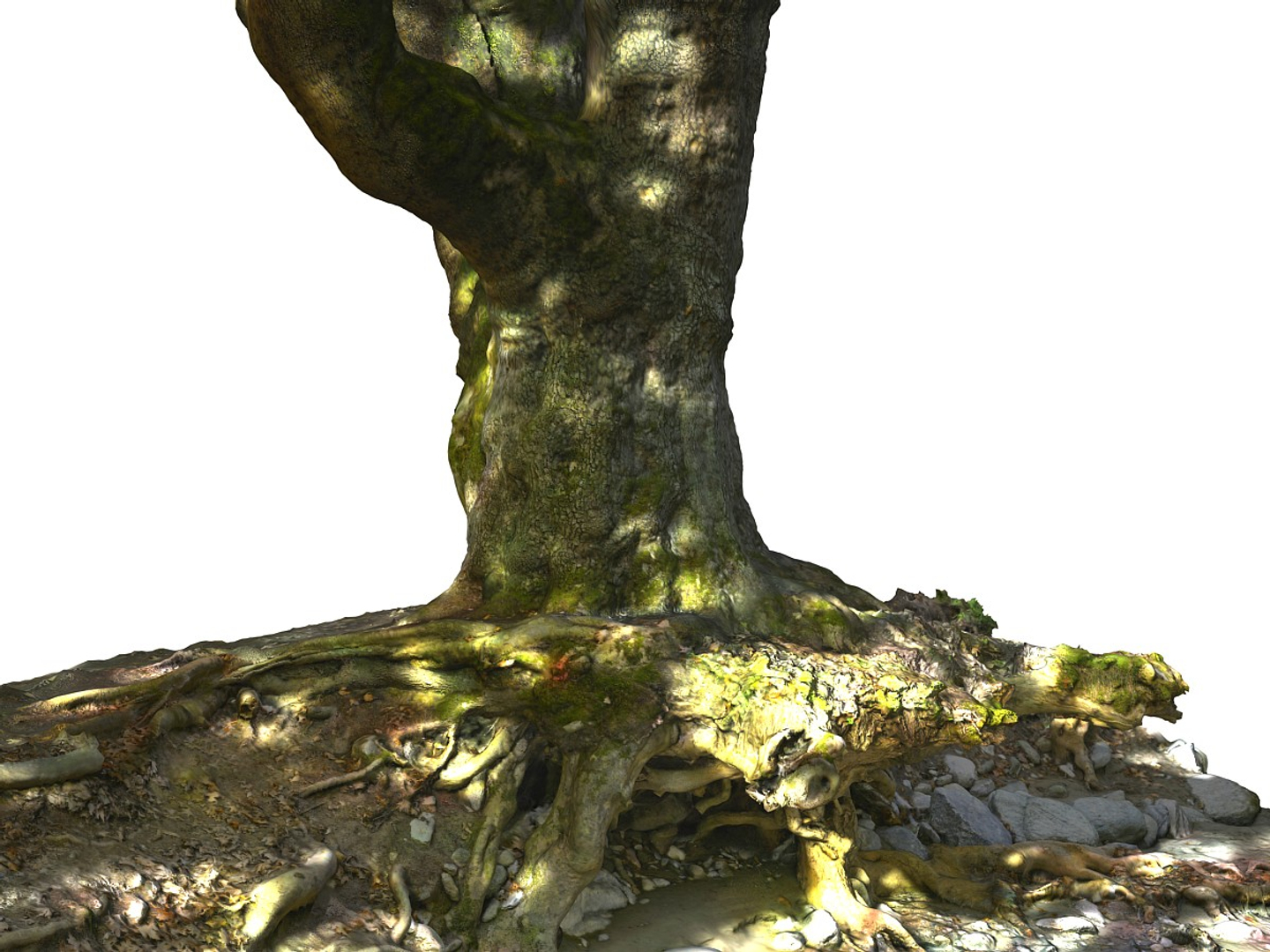 3D ancient forest pack 16k https://p.turbosquid.com/ts-thumb/i9/CUq0cZ/PtwAsokL/0000/jpg/1537266103/1920x1080/turn_fit_q99/5bd0e8223afb0a762d0172714a2ca7e020e2f69b/0000-1.jpg