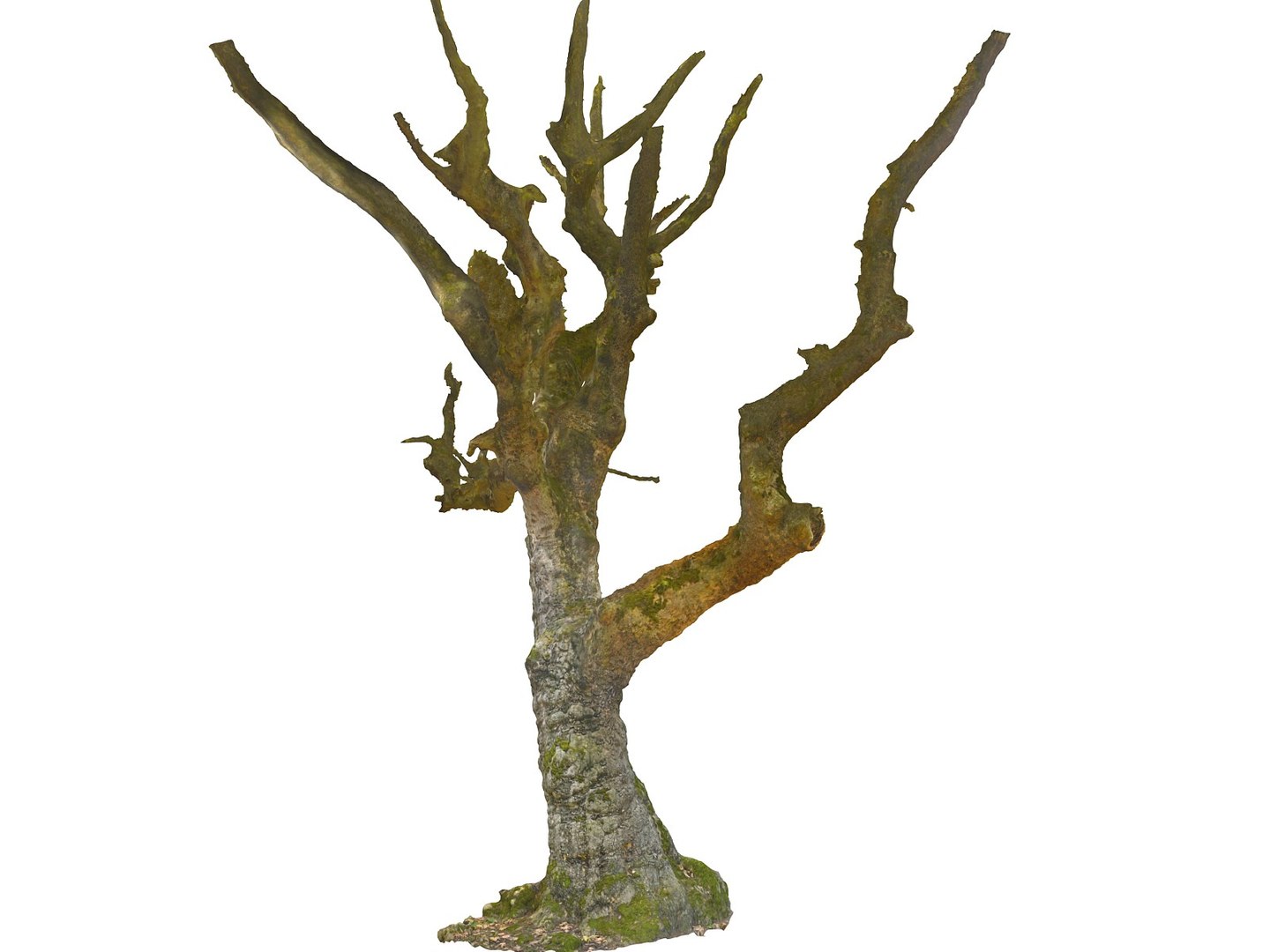 3D ancient forest pack 16k https://p.turbosquid.com/ts-thumb/i9/CUq0cZ/QSNWcq1A/55667/jpg/1537265178/1920x1080/fit_q87/025251b52492e9cf873147d63539ad4079eb08f4/55667.jpg